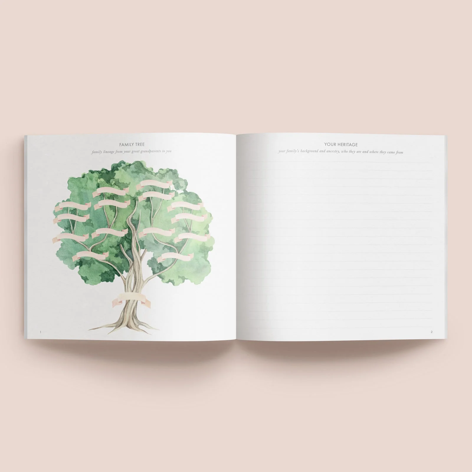 Your First Years - Baby Record Journal Book - Image 16