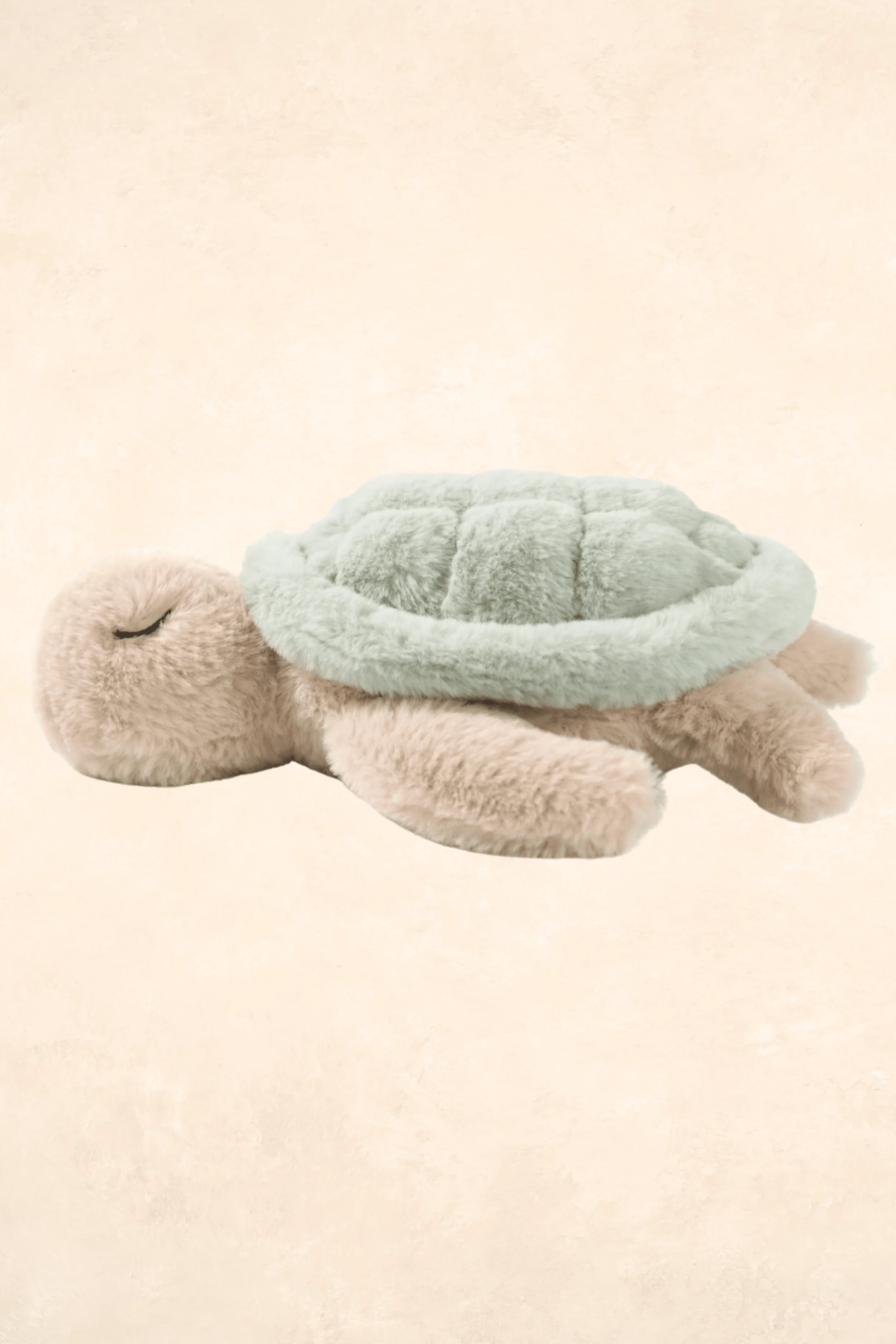 Green Sea Turtle - Image 2