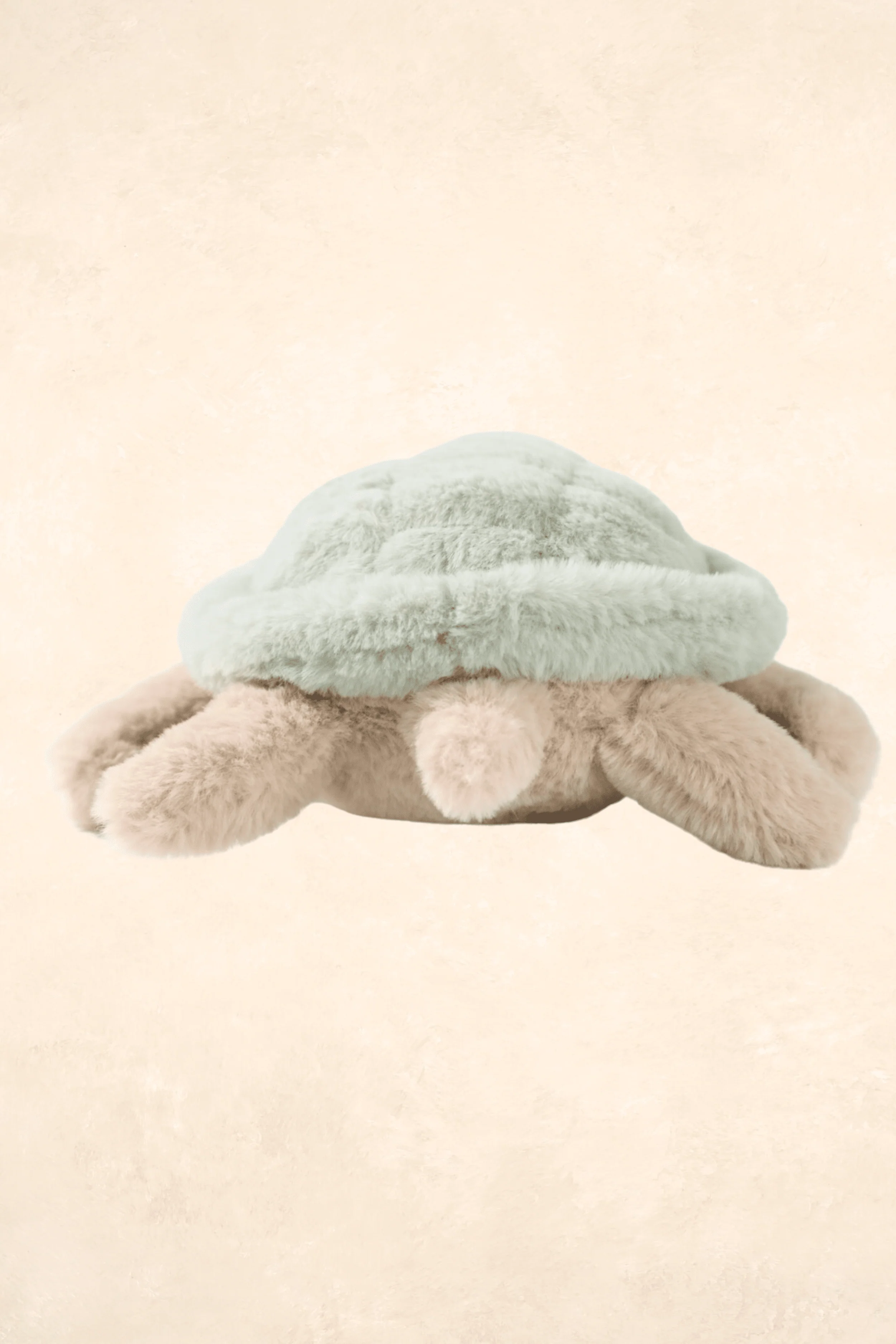 Green Sea Turtle - Image 3