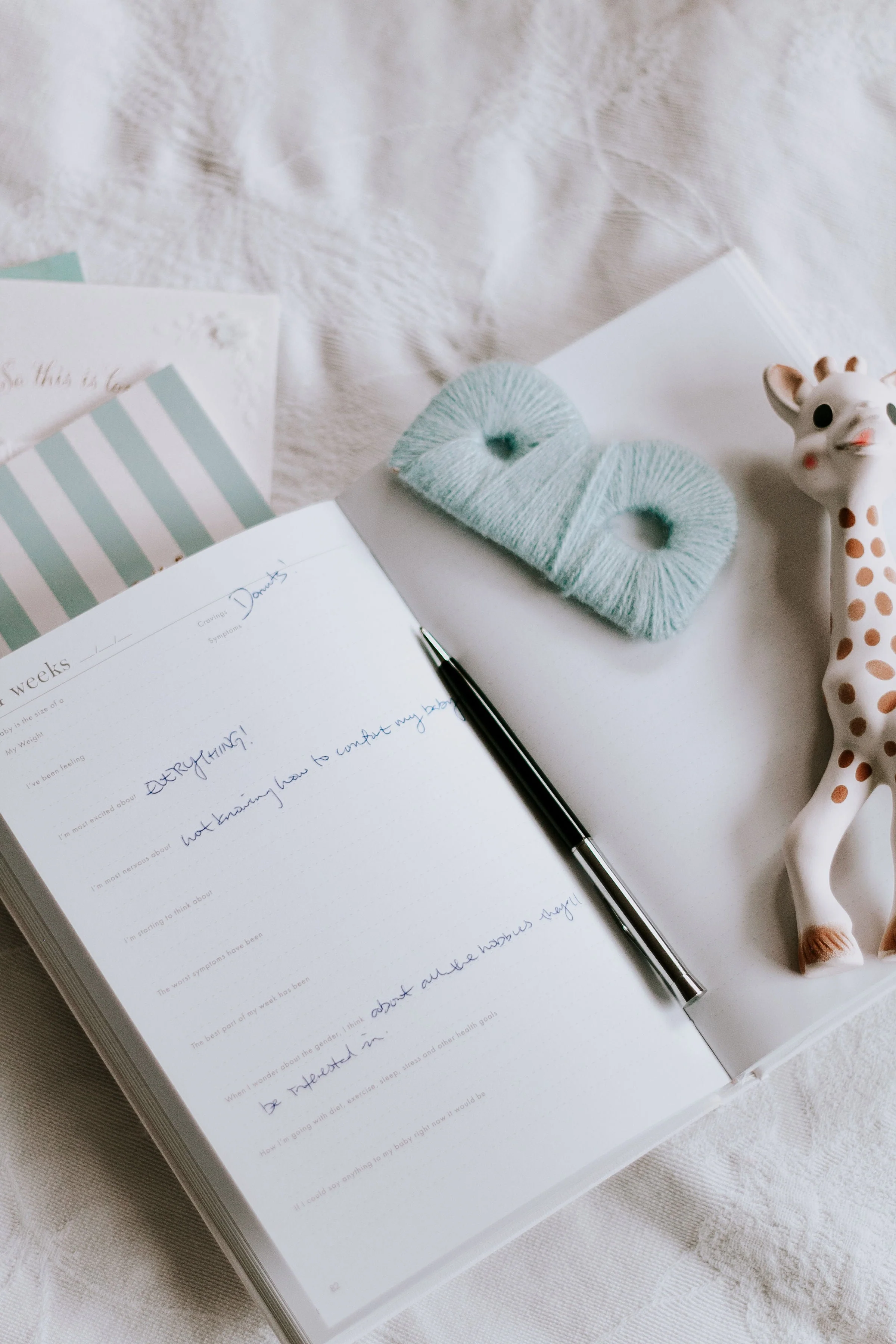 Made With Love - Pregnancy Journal - Image 5