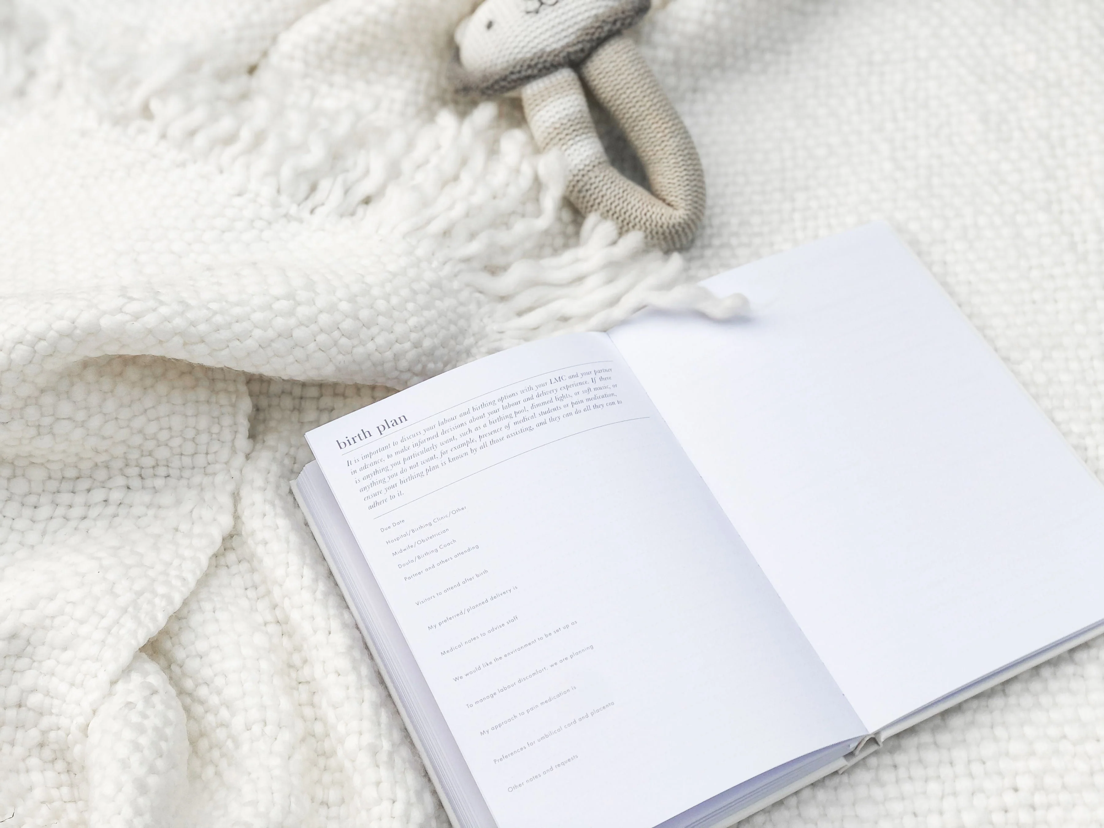 Made With Love - Pregnancy Journal - Image 9