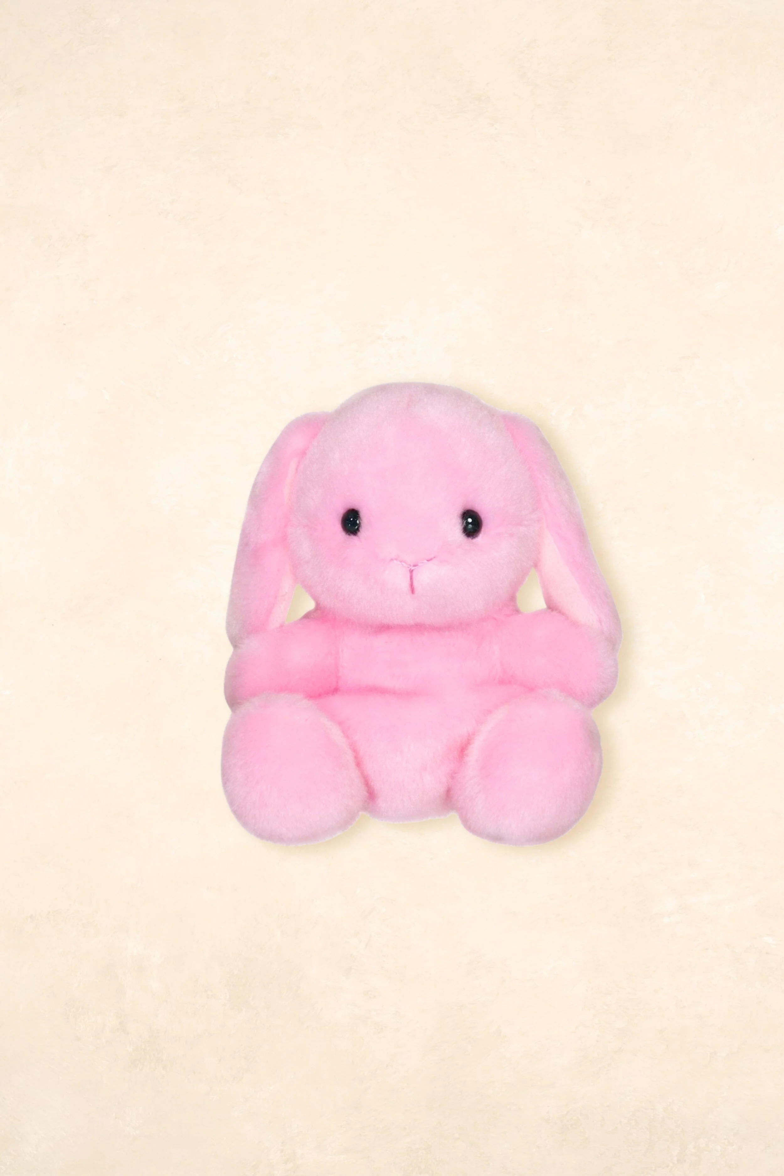 Palm Pals - Image 51