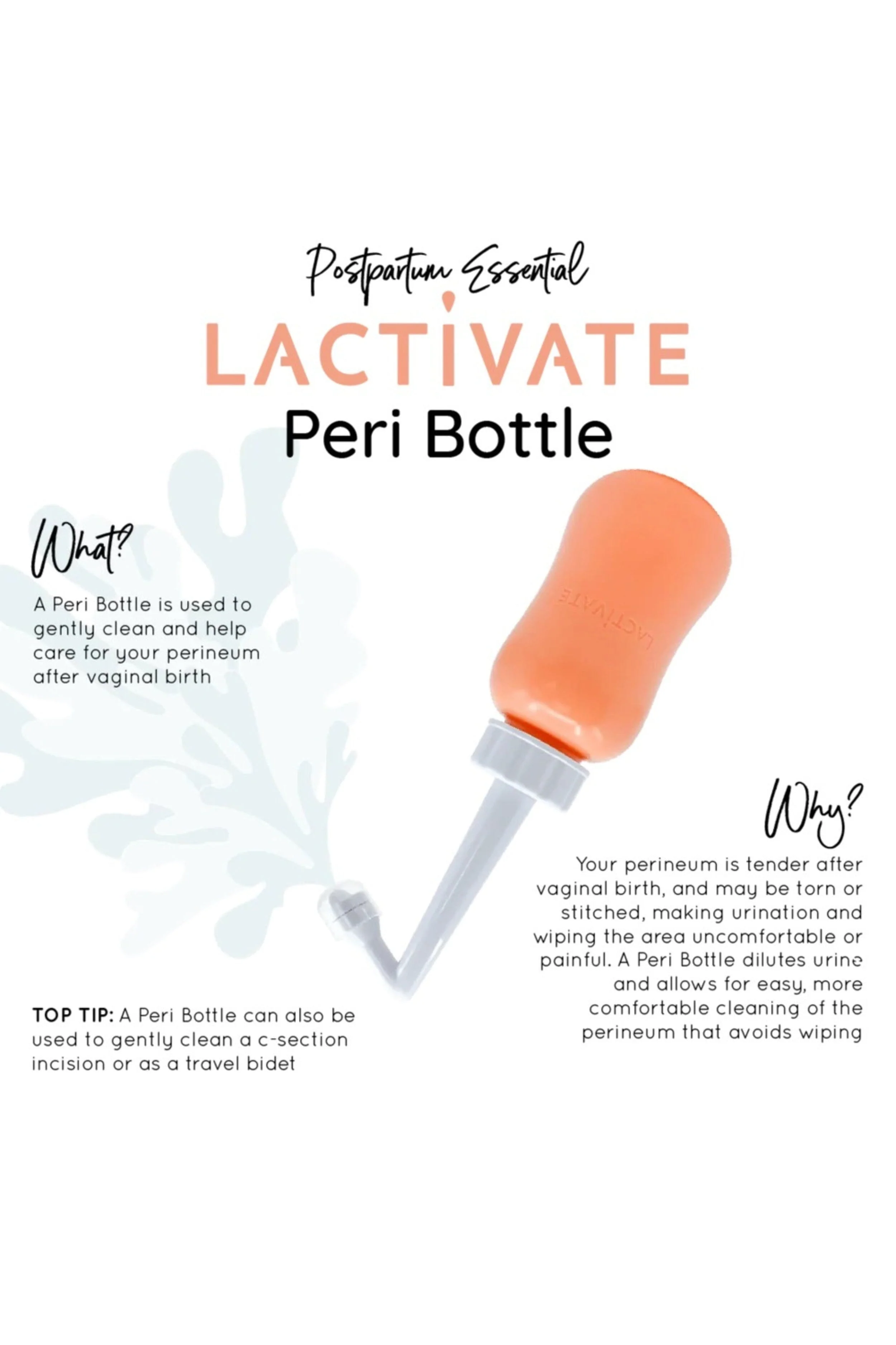 Peri Bottle - Image 3