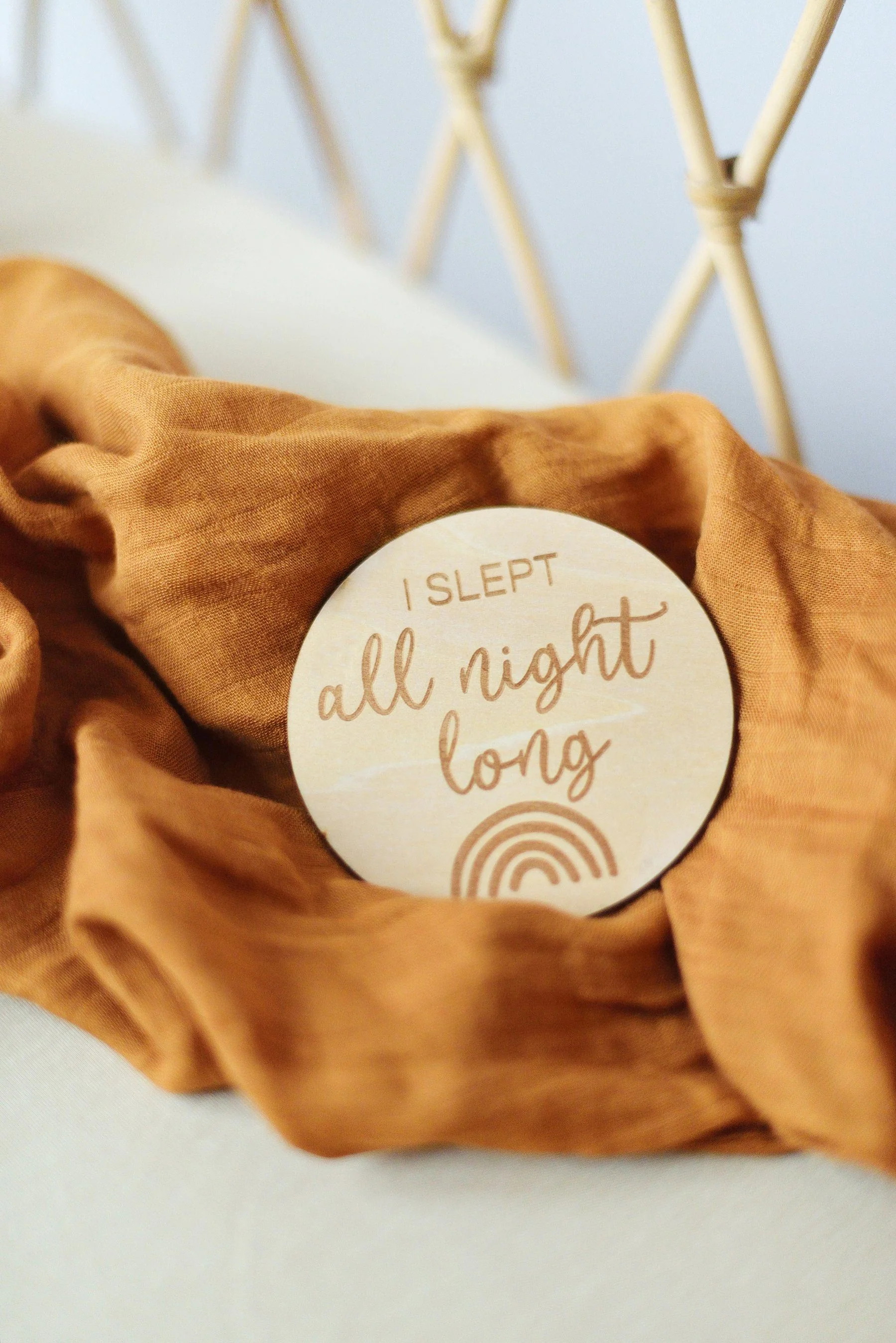 Baby Milestone Wooden Discs - Image 6